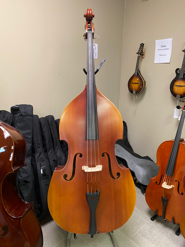Acoustic Bass, Upright Bass, Electric Bass | Morganton Music